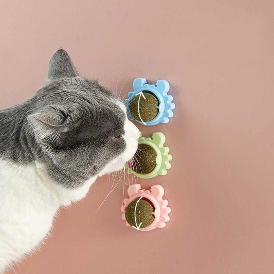 360 Rotation Catnip Chewing Toy - Green Tree Depot